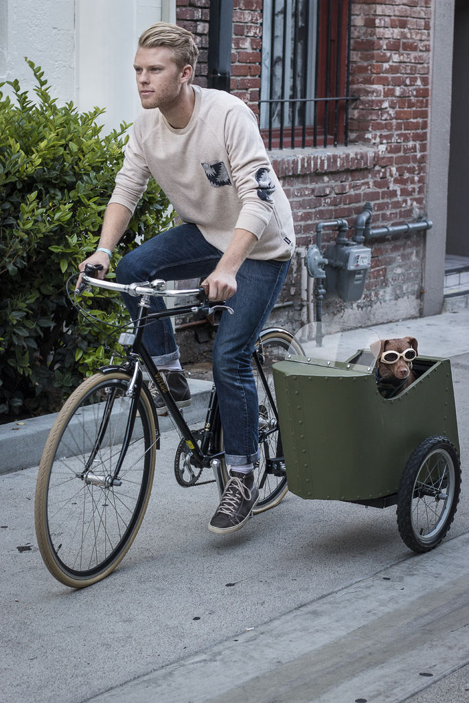 Велосипедная коляска для собаки